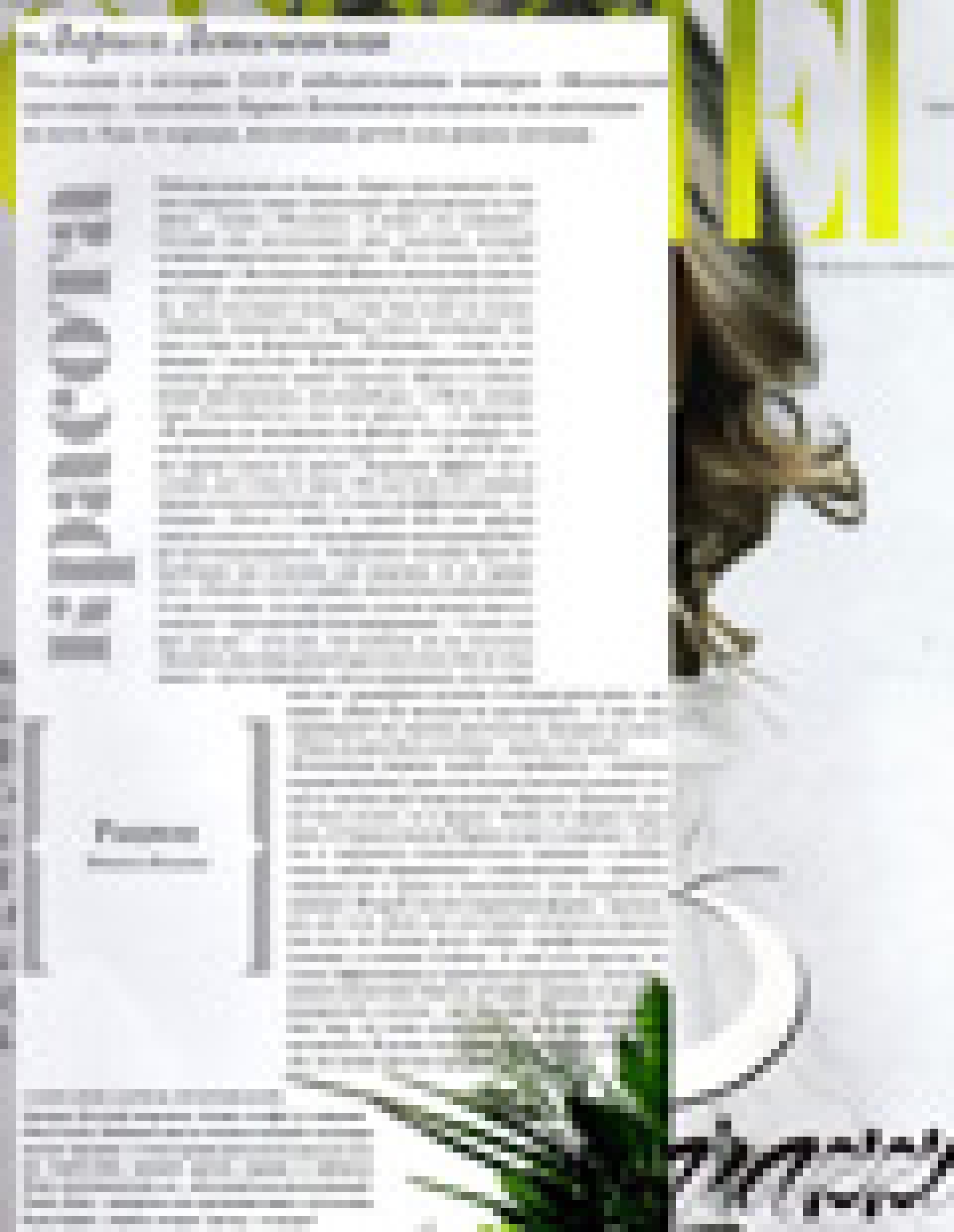 Обёртывания Thalion (L
